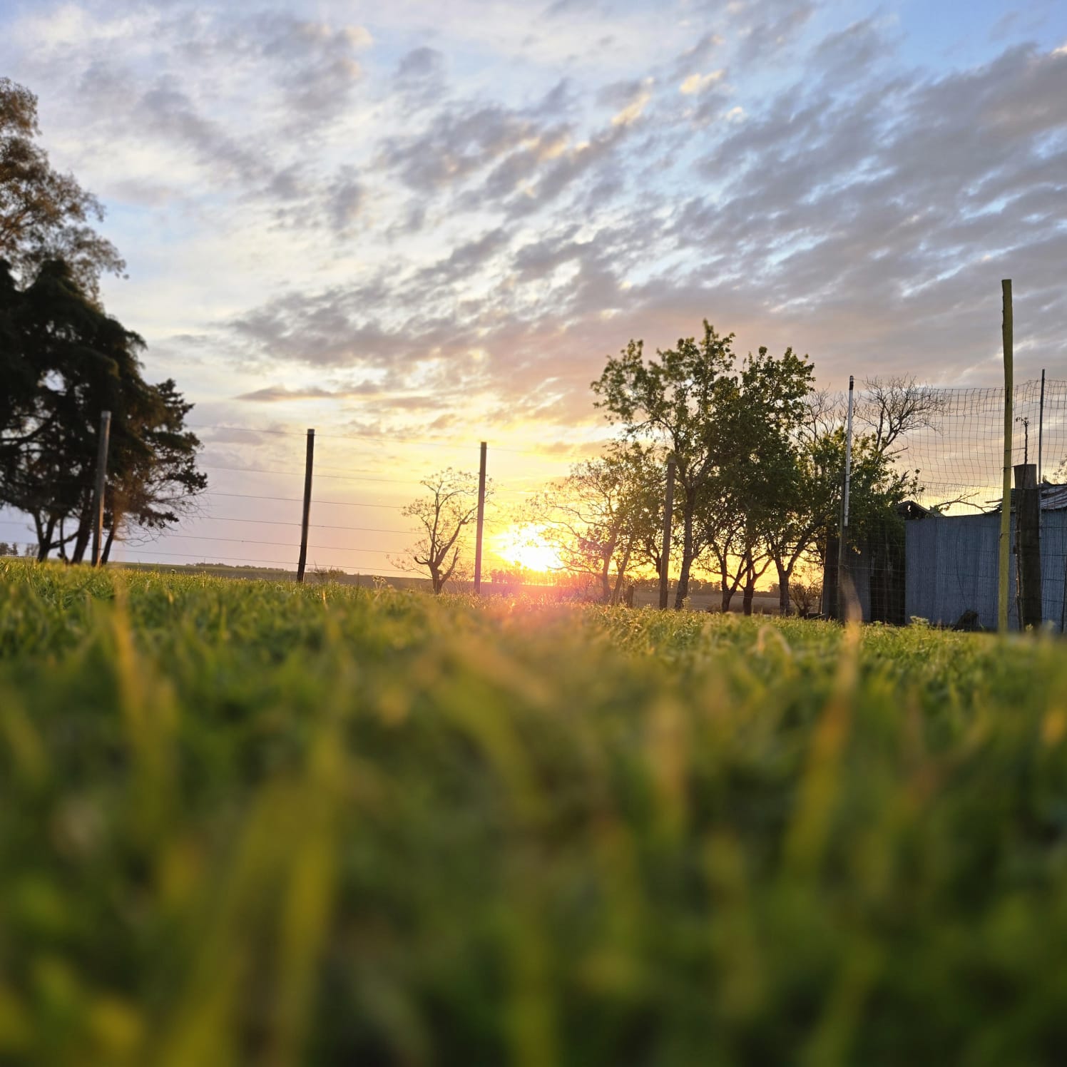 Sunset over the countryside near Salto, Uruguay, seen from the grass
