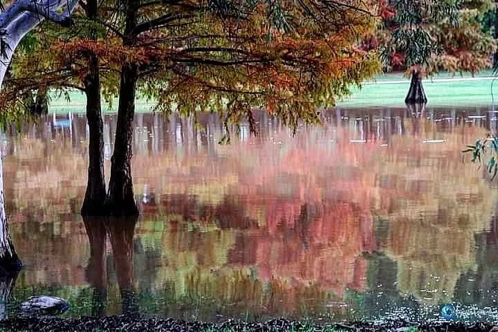 Autumn trees reflected in still water near Salto