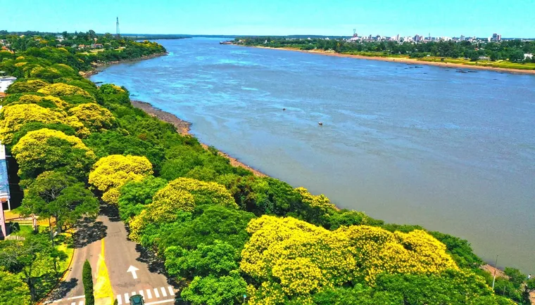 Aerial view of the Rio Uruguay and its wooded banks at Salto