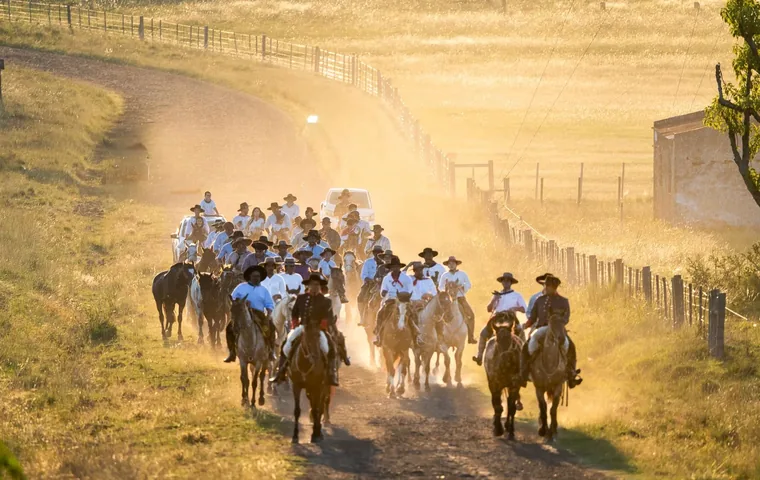 A herd of horses driven down a dusty track at sunset in the Salto countryside